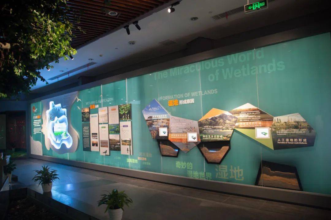 基地动态|中国湿地博物馆序厅升级啦!这些"宝贝"等你来看