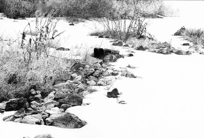 杨雨堂精美的写实钢笔风景画集二