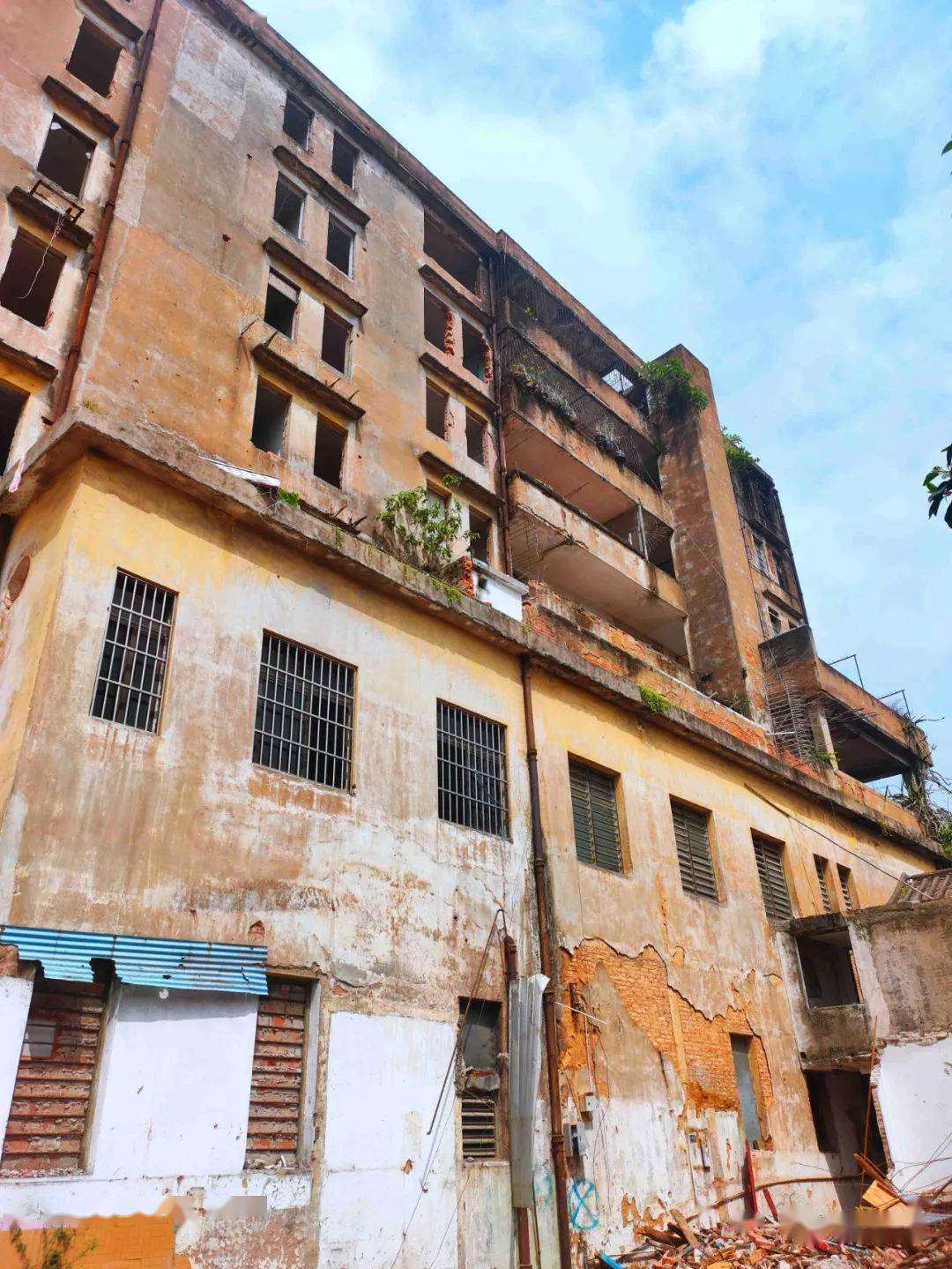 顺德顺通大桥建设进度3