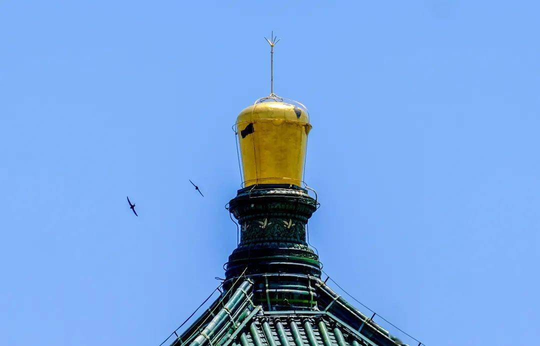 3800张金箔贴上宝顶,钟楼即将新装亮相!