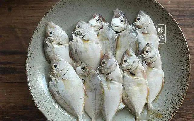 秋天遇到此鱼别手软纯野生非人工养殖特别鲜40元一斤也值了