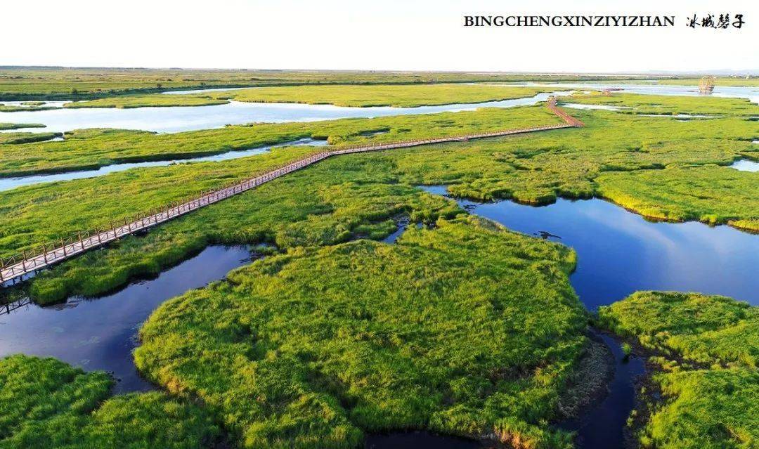 三江自然湿地保护区图片