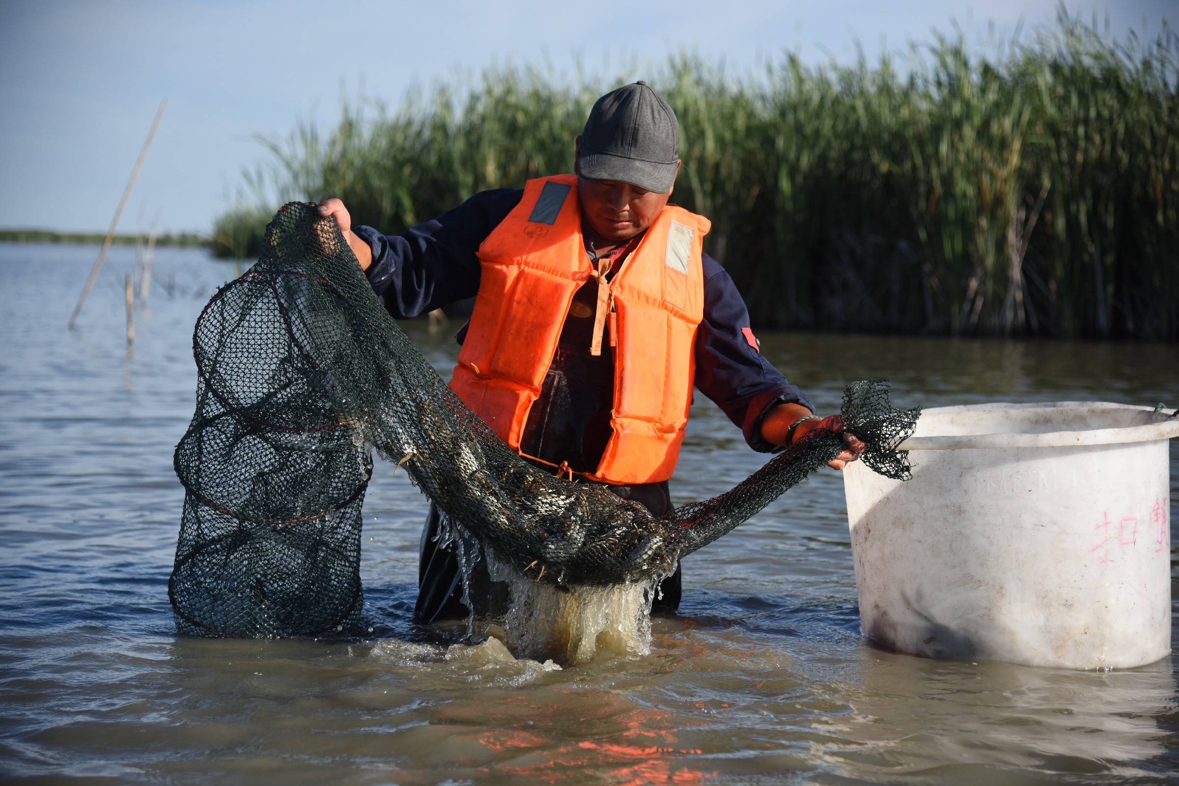 鱼肥蟹美丰收时