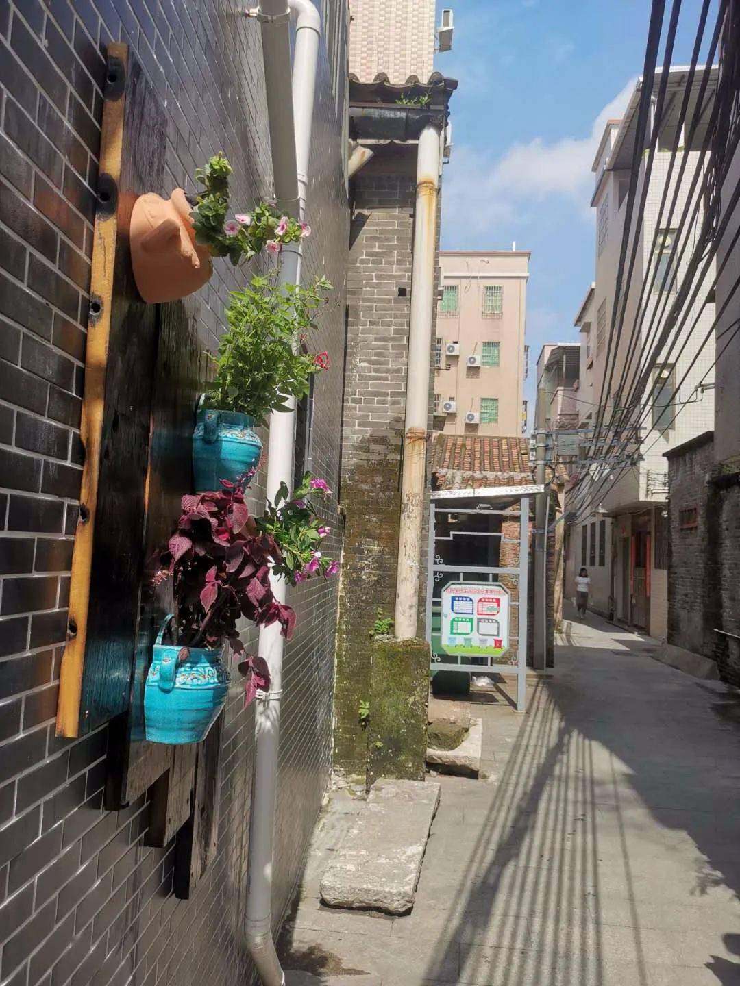 留住乡韵记住乡愁丨钟村街钟四村创建岭南特色精品村