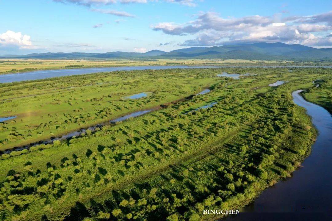 这个夏天,行走在丰美的三江平原大湿地_黑龙江