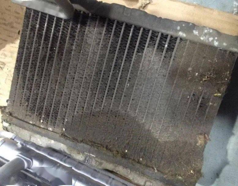 汽车的空调蒸发箱能有多脏?