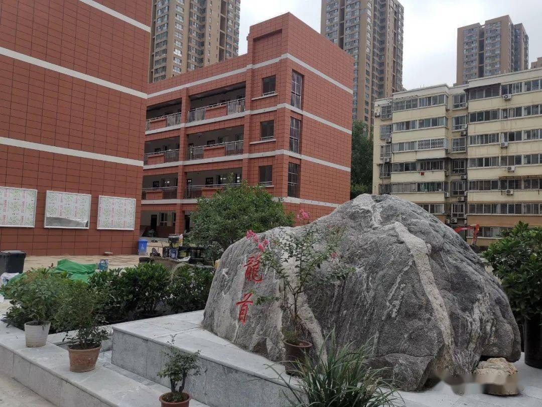 【龙首村小学】空气治理,为龙小学子保驾护航