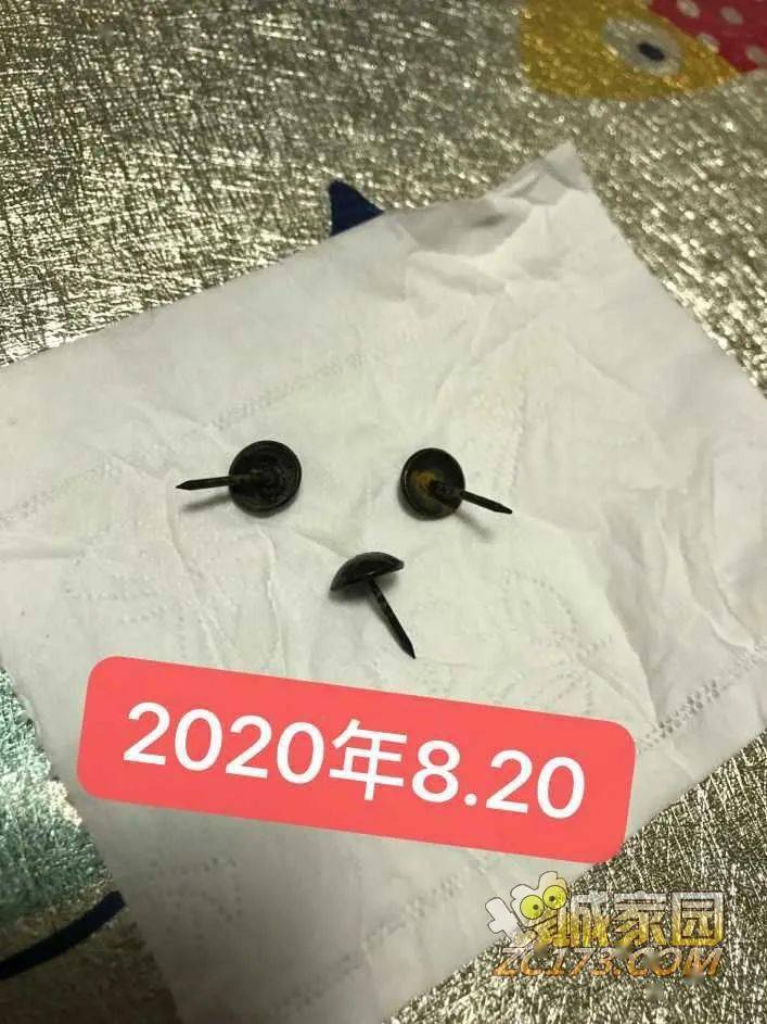 在增城街做出这种"丧心病狂"的事!_钉子