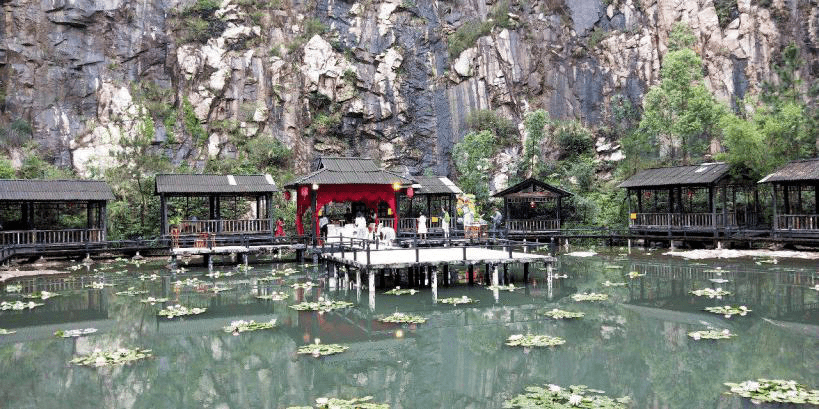 是"檀香山糖业大王"杨著昆"中国空军之父"杨仙逸"中国tnt炸药之父"