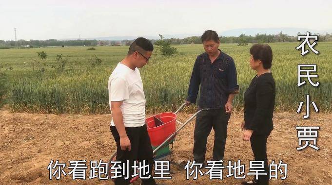 妈妈带小光种花生刚到地里爸爸和妈妈发生争吵看发生了什么事