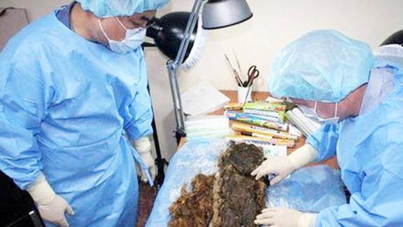 湖南修防空洞挖千年古墓不腐女尸遭专家围观强行研究感染尸毒