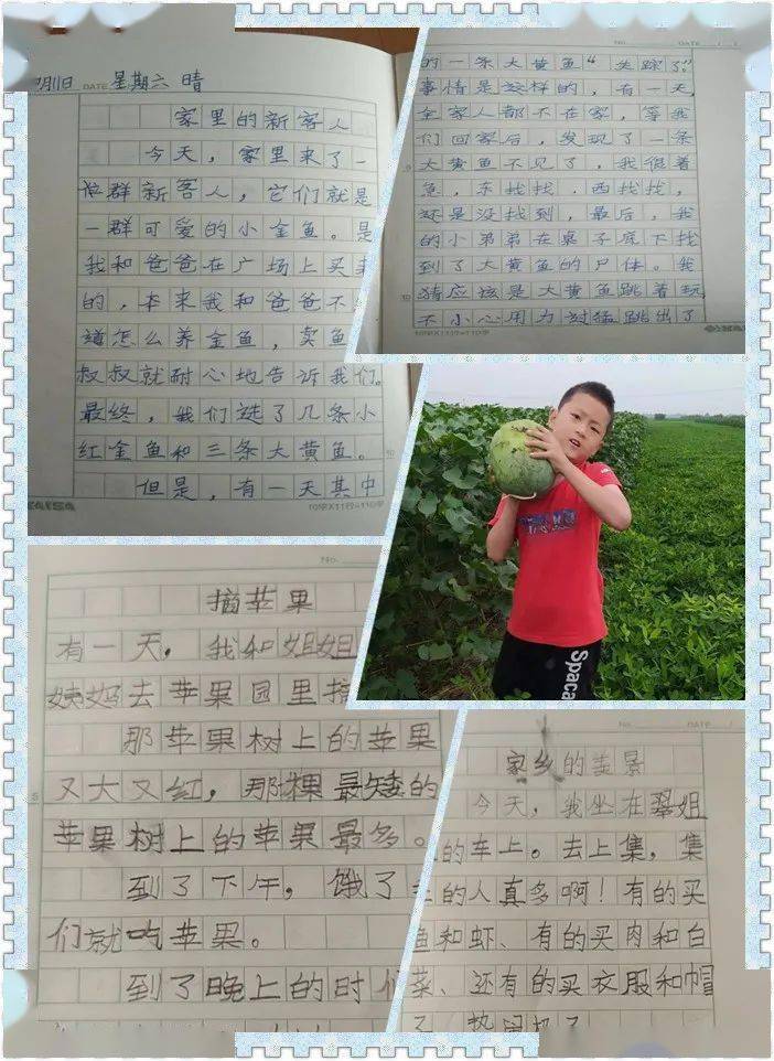 火热的假期阳光灿烂二年级5班语文假期实践作业小记