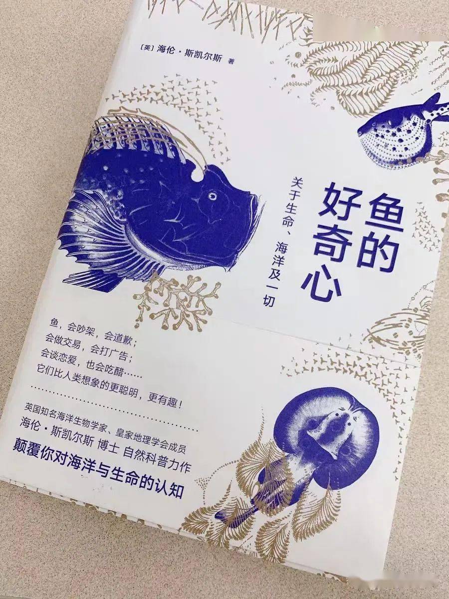 白天爱装酷的鲱鱼一到晚上就变话痨聊天时还会噗噗放屁鱼的好奇心全网