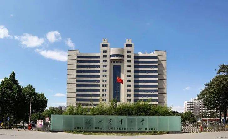 农大申请成为你的梦中情人