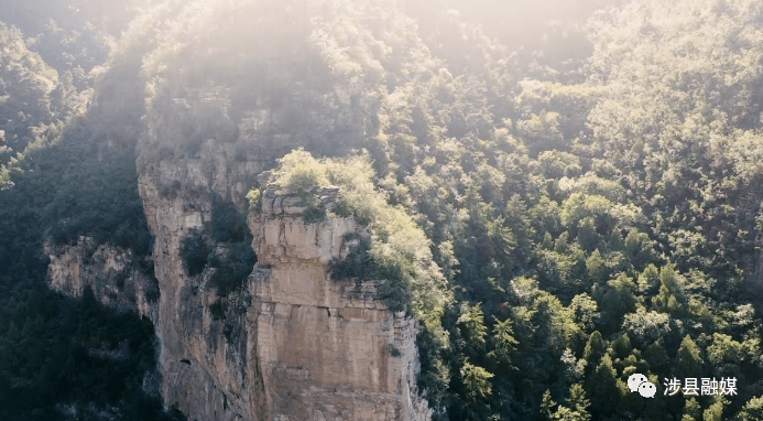 微视频涉县黄花山森临其境乐享自然