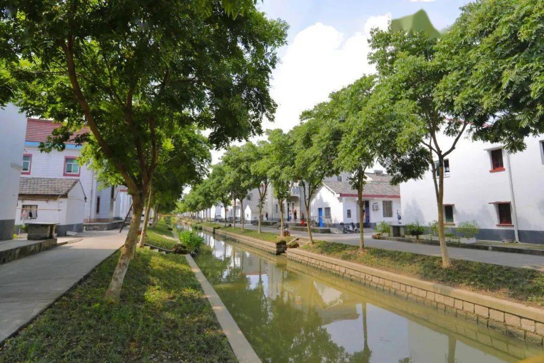 镇胡家埭村舒展在眼前的田园画卷之上一座别具江南风情的小村庄如水墨