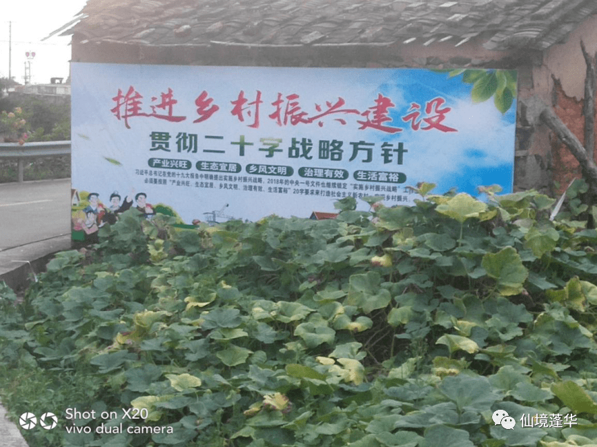 采摘休闲区建设前建设后采摘步道建设前建设后广告牌整治前整治后裸房