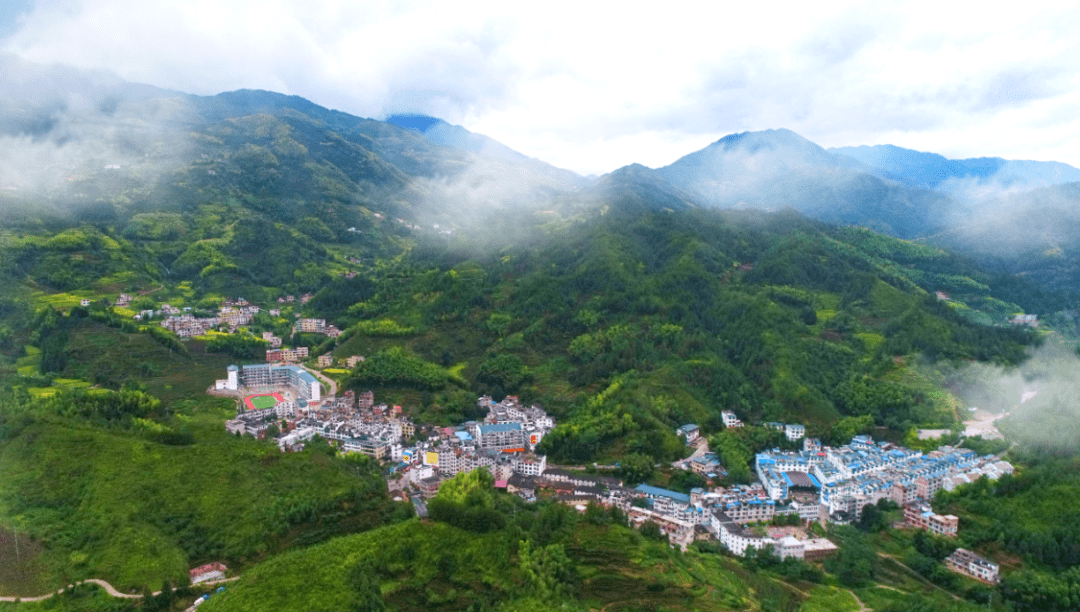 上栗县杨岐乡图片