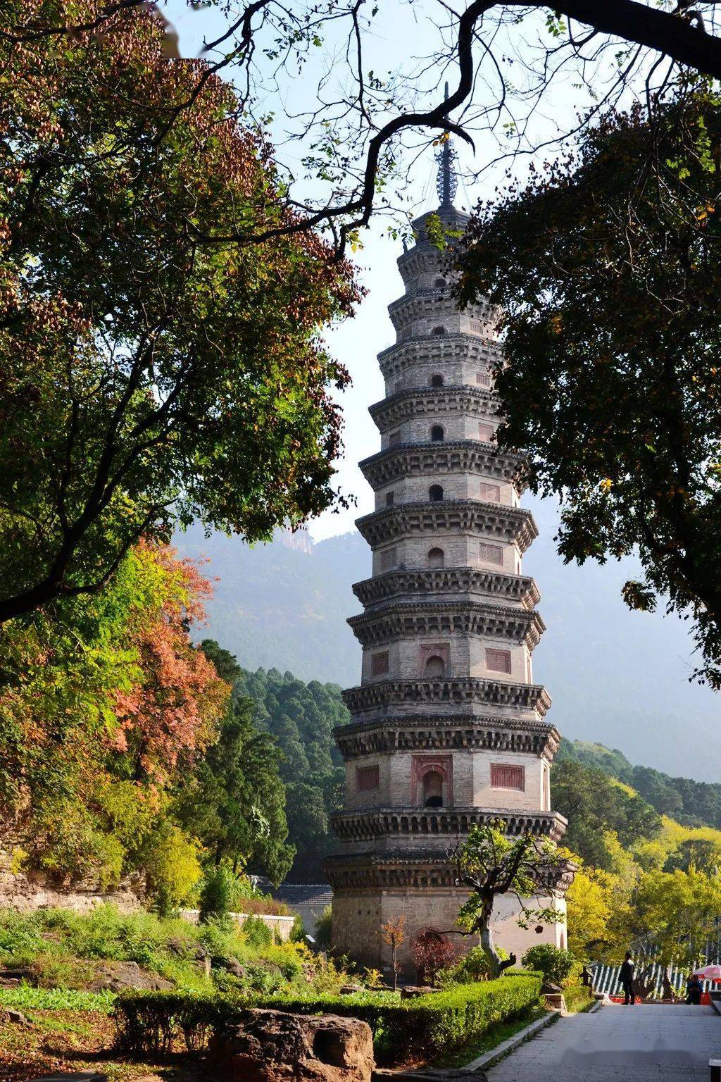 寻古迹的莲莲塔林灵岩寺印象