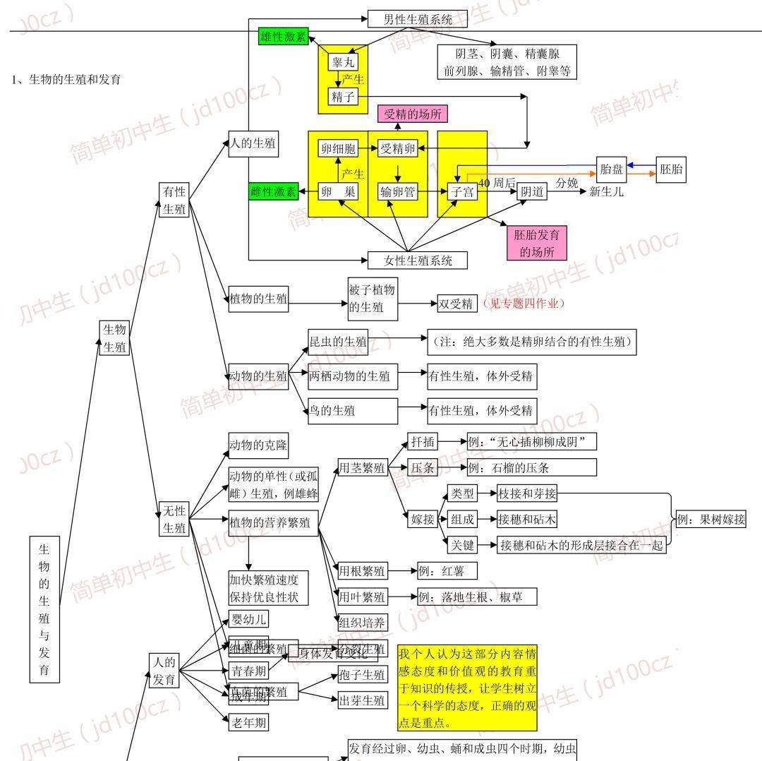 初中生物重要概念思維導圖照這個複習準沒錯值得收藏