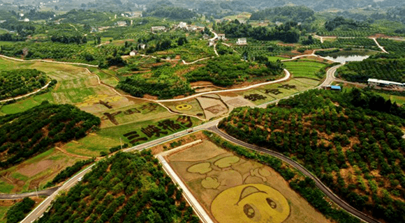 三峽橘鄉田園綜合體一景.聶治彬 攝