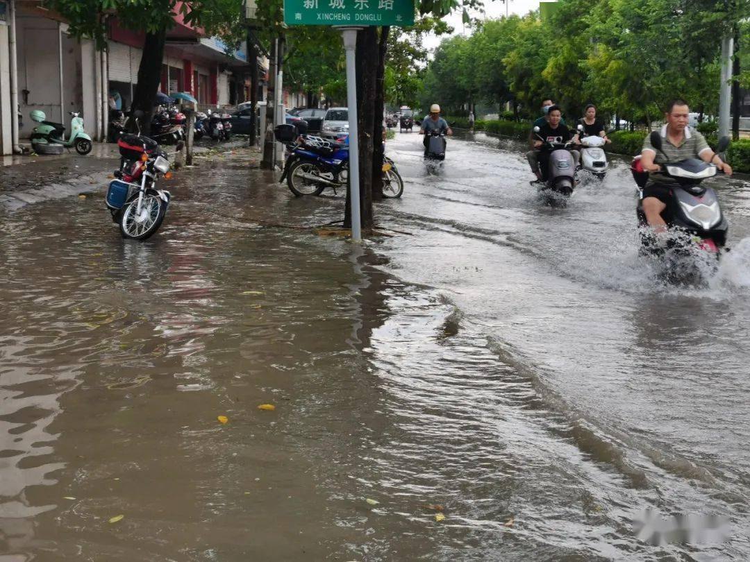 现场直击大雨之下宾阳宾州镇这个社区部分街道积水严重