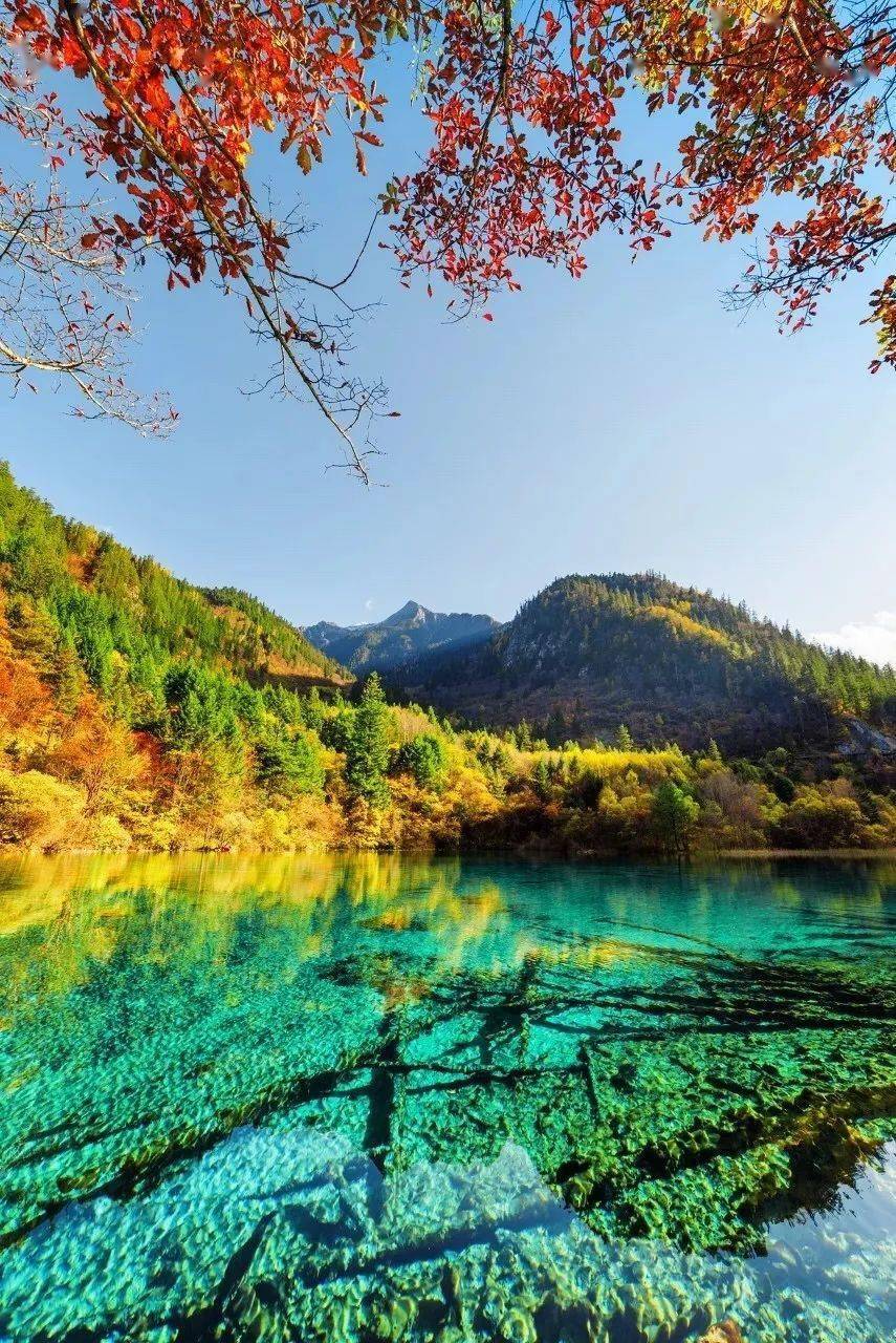 九寨沟丨寻找秋天的童话_手机搜狐网