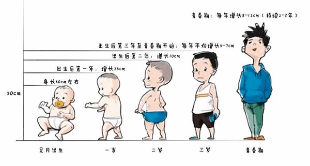 男孩发育期 第二性征图片