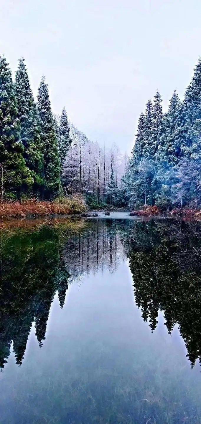 时隔45年后,他们再一次相约来到利川甘溪山