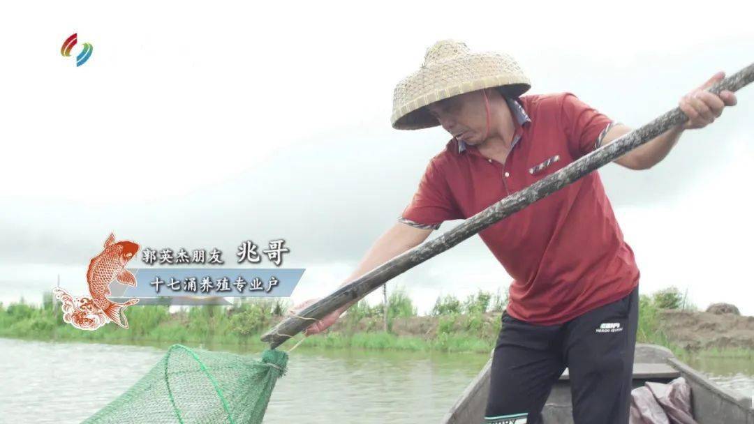 渔船上纯天然的鲜味，感受虾蝲膏那份大海狂野的风味-搜狐大视野-搜狐新闻