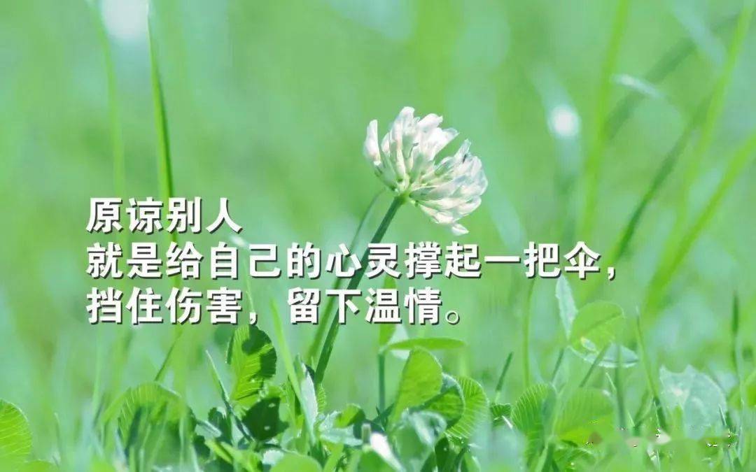 适合做个性签名的经典句子