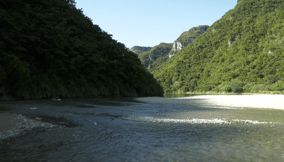 李涛到冷水河油杉河巡河