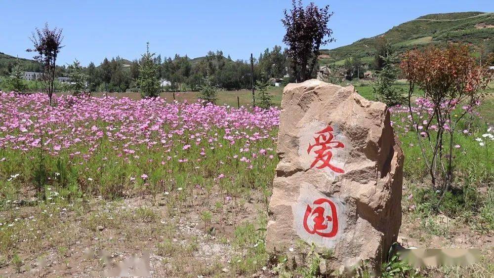 岷县蒲麻镇改善人居环境02提升贫困户精气神