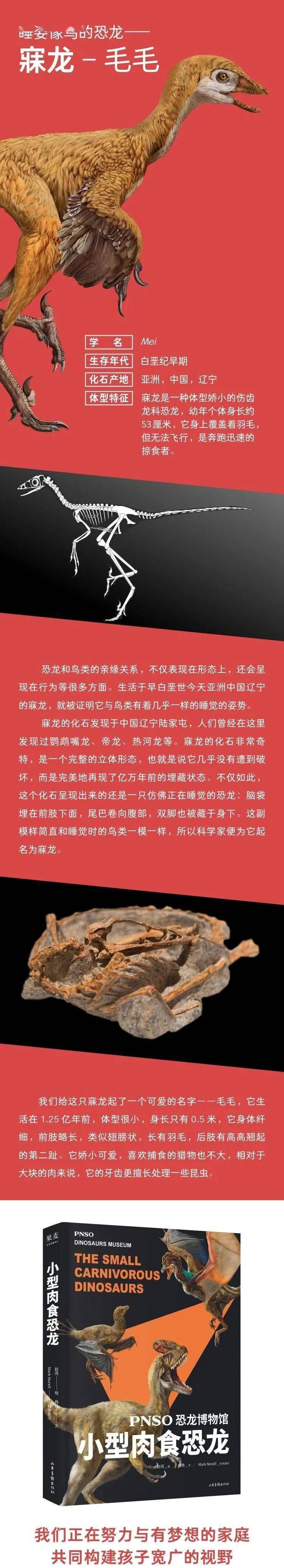 pnso恐龙博物馆目录图片