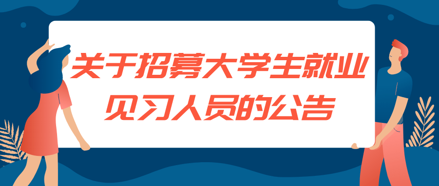 关于招募大学生就业见习人员的公告_岗位