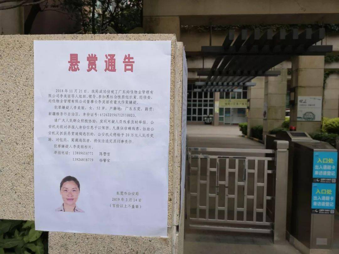 东莞女老板被判入狱16年半!没收3000万!_李美丽