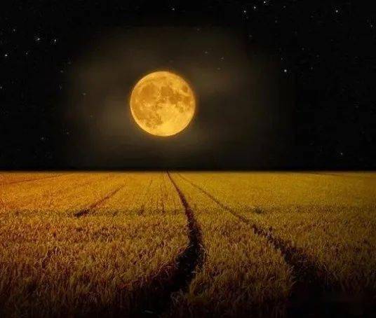 难得一见加拿大三年一次的玉米月亮要来了