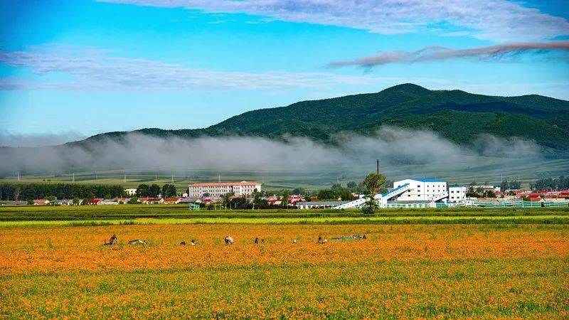 宝清县小城子镇太平村入选2020年中国美丽休闲乡村