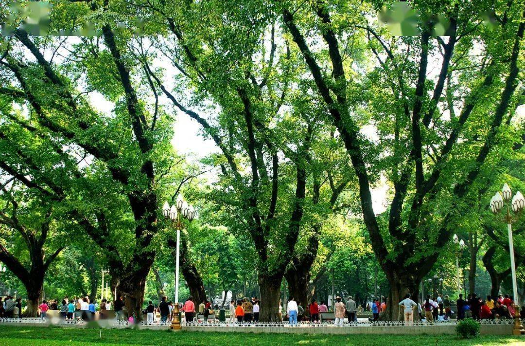 越秀人的童年回忆要大变样这些老公园将扮靓迎客