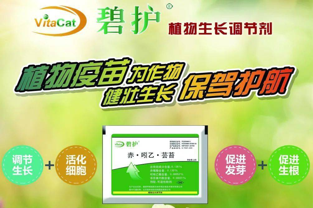 一般除了喷施磷酸二氢钾外,建议加上植物生长调节剂【碧护】,激活水稻