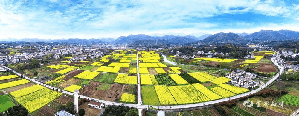 宜昌市夷陵区太平溪镇许家冲村 武汉市黄陂区姚家集街道排堂村