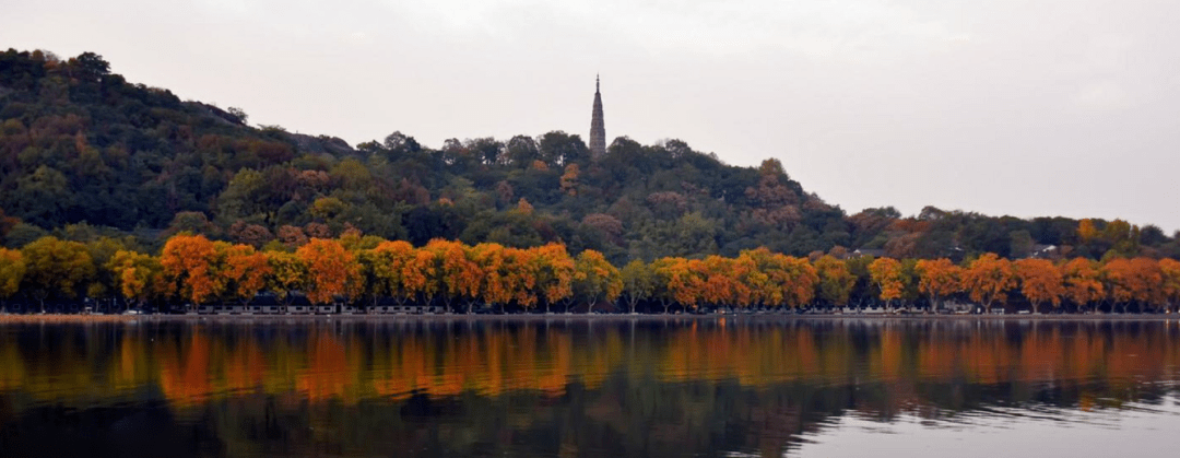钱潮| 保俶塔其名因何而来?