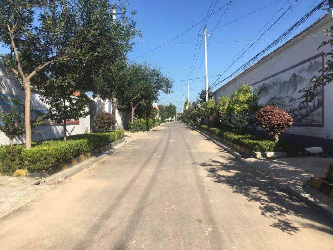 魏桥镇重拳出击标本兼治镇域环境面貌显著提升