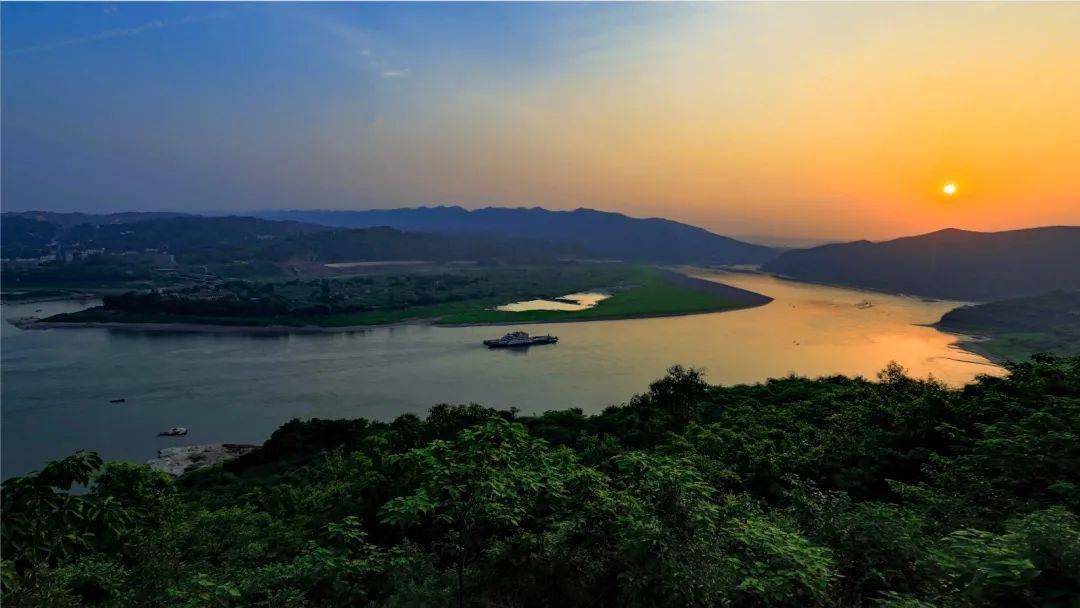 五宝镇桂圆采摘节今日启幕请你来免费吃