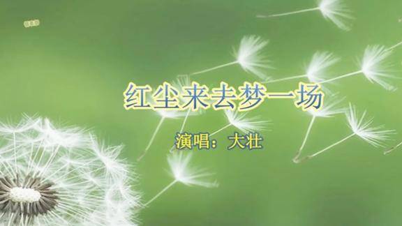 大壮新歌红尘来去梦一场繁华过尽终是空比我们不一样更好听