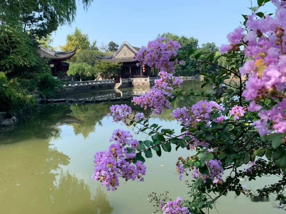 秋赏晓秋迎露一支新不占园中最上春