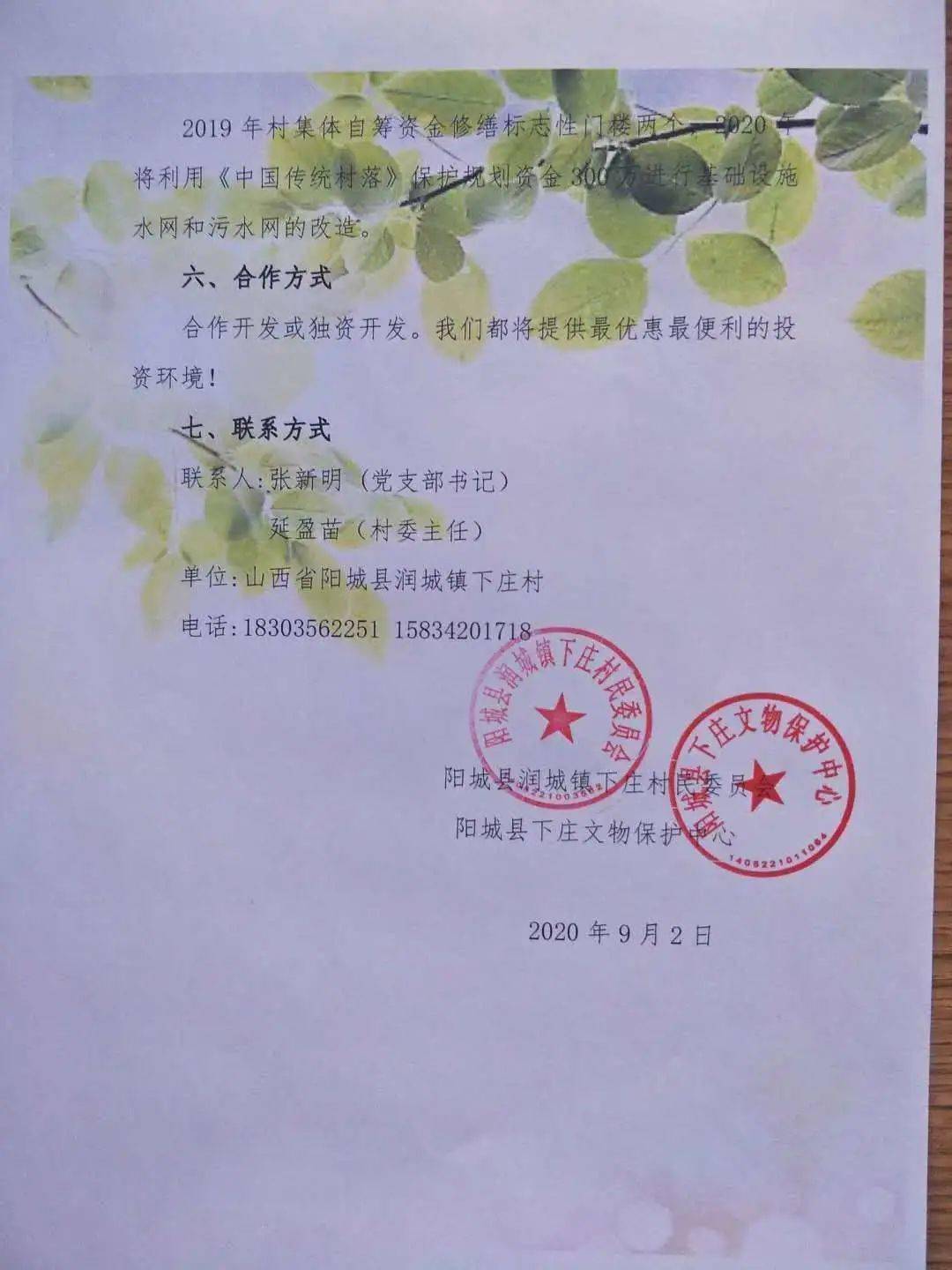 张新明关系网图片