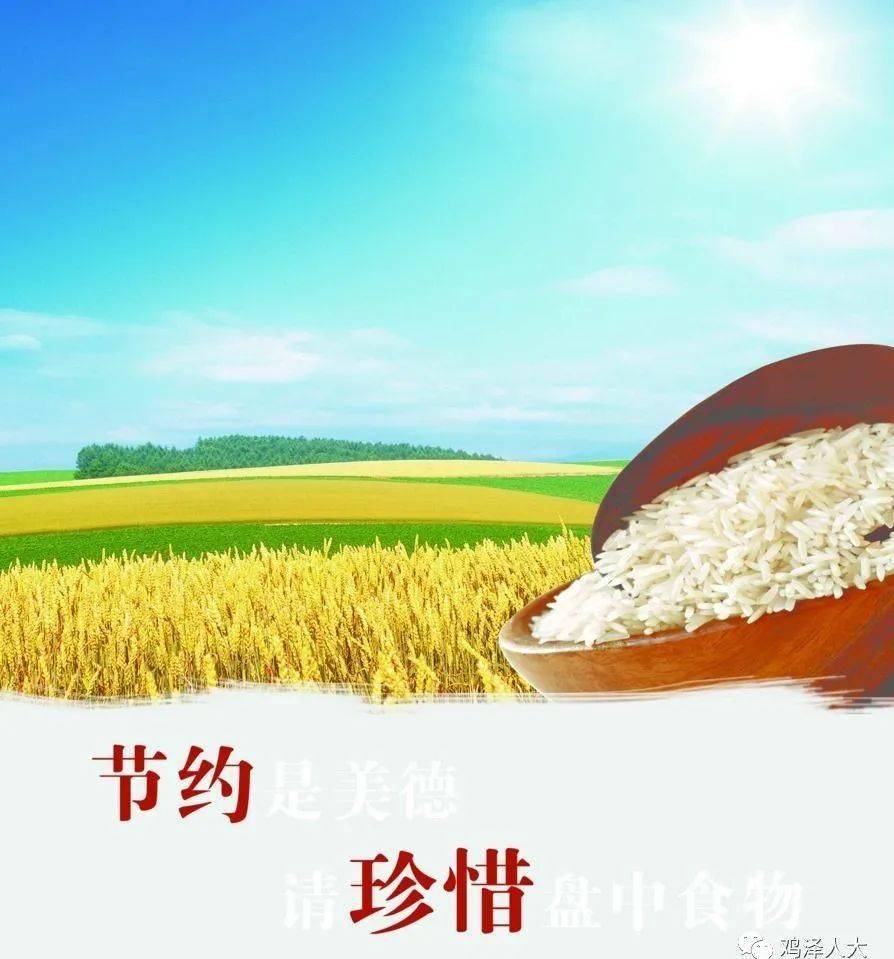 关于厉行勤俭节约反对餐饮浪费倡议书