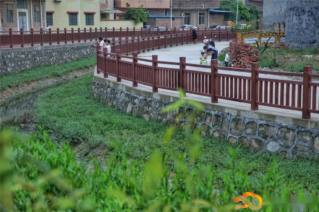 文明有约靓江高镇这条黑臭河涌大变样还将建设湿地观鸟生态基地