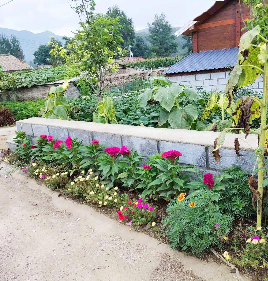 腰堡村陳景香家庭的美麗庭院